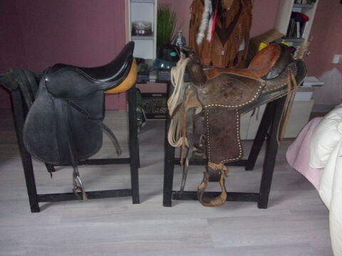 lot de 2 selles 350 16240 Paizay-naudouin-embourie