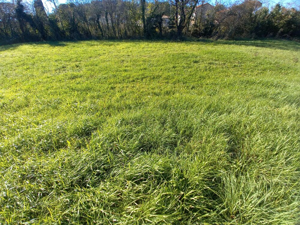 Vente Terrain Beau Terrain 500m2 ALBI même prox commerces, TB placé Albi