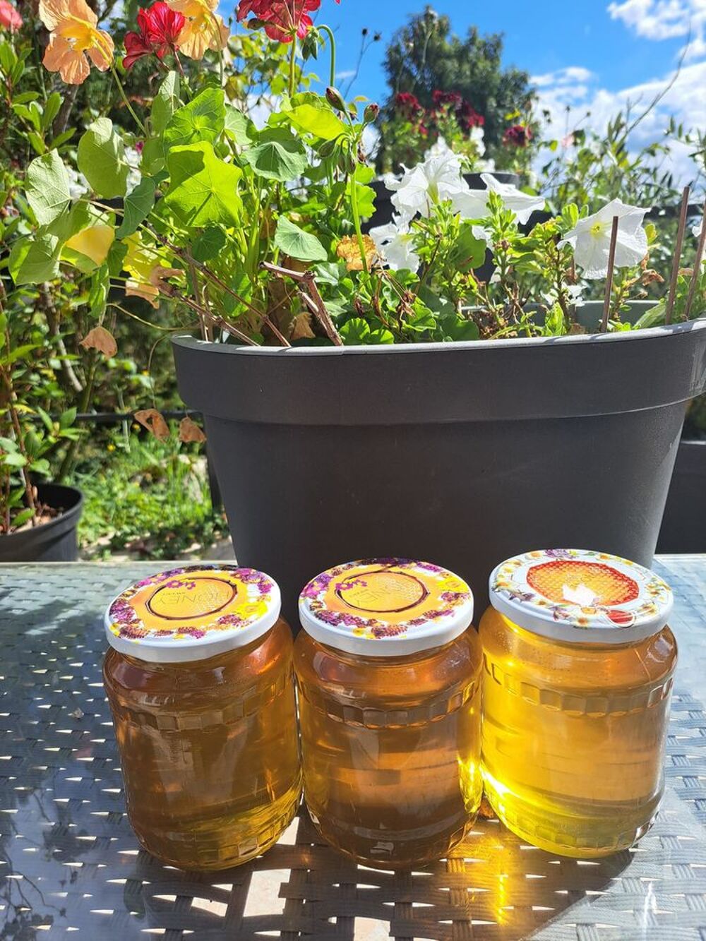 MIELS EN PRODUCTION LIMIT&Eacute;E POTS 1 KG Jardin