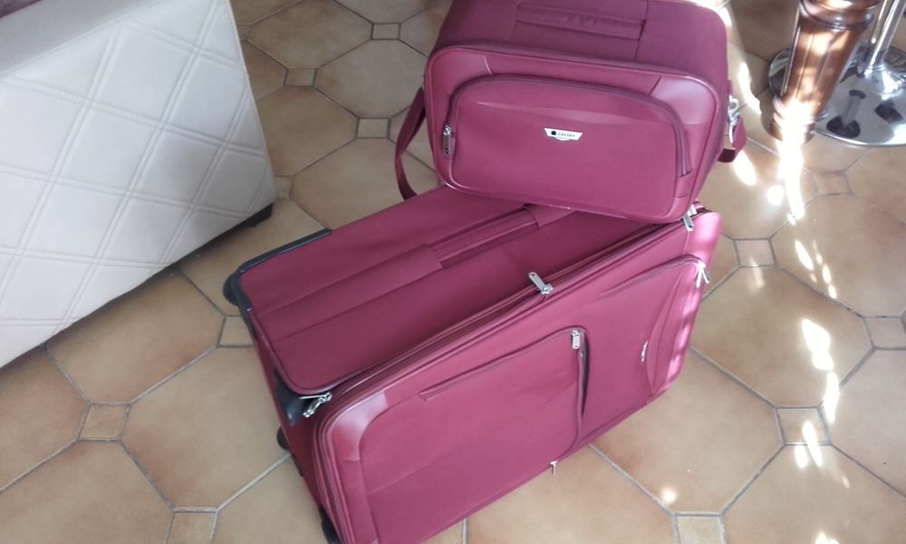 valise et vanity DELSEY Maroquinerie