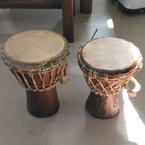 2 jumbe africain Épernon (28)