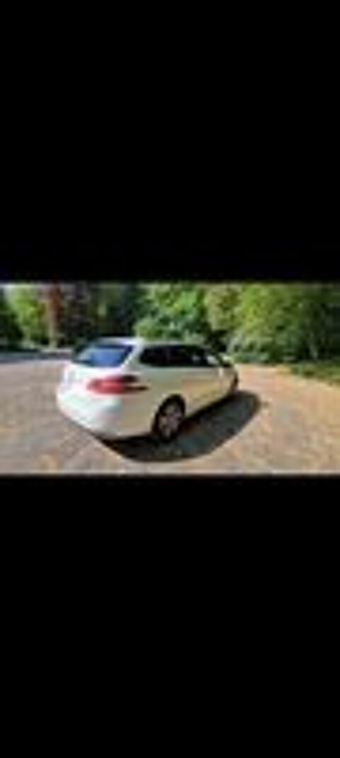 308 SW BlueHDi 130ch S&S EAT8 Allure Business 2019 occasion 29390 Sca&euml;r