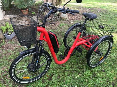 Tricycle lectrique adulte Damiud 1350 Lecci (20)