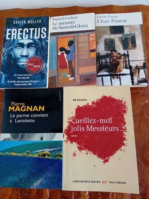 5 Livres de Poche d'Ecrivains Divers 5 Saint-Dizier (52)