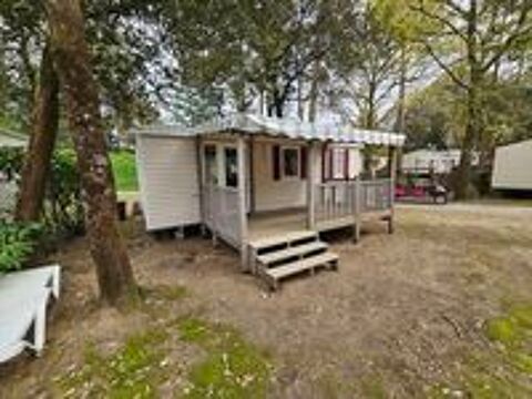  2017 occasion 44250 Saint-Brevin-les-Pins