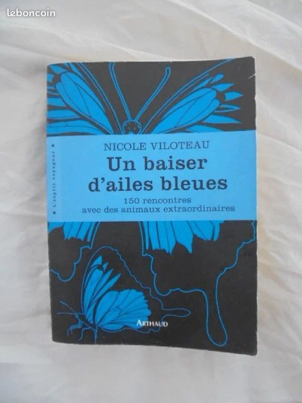 Un baiser d'ailes bleue Livres et BD