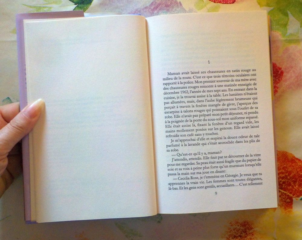 UN ETE A SAVANNAH de Beth HOFFMAN Ed. France Loisirs Livres et BD