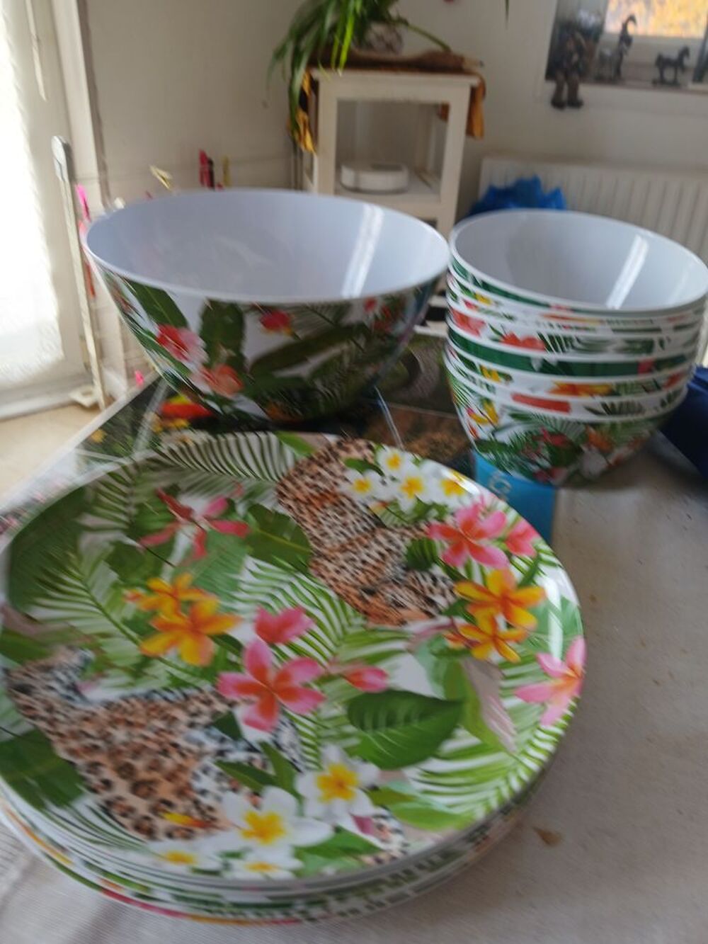 Assiettes et bols plastique Cuisine
