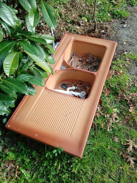 evie en gr�s 40 Biscarrosse Plage (40)