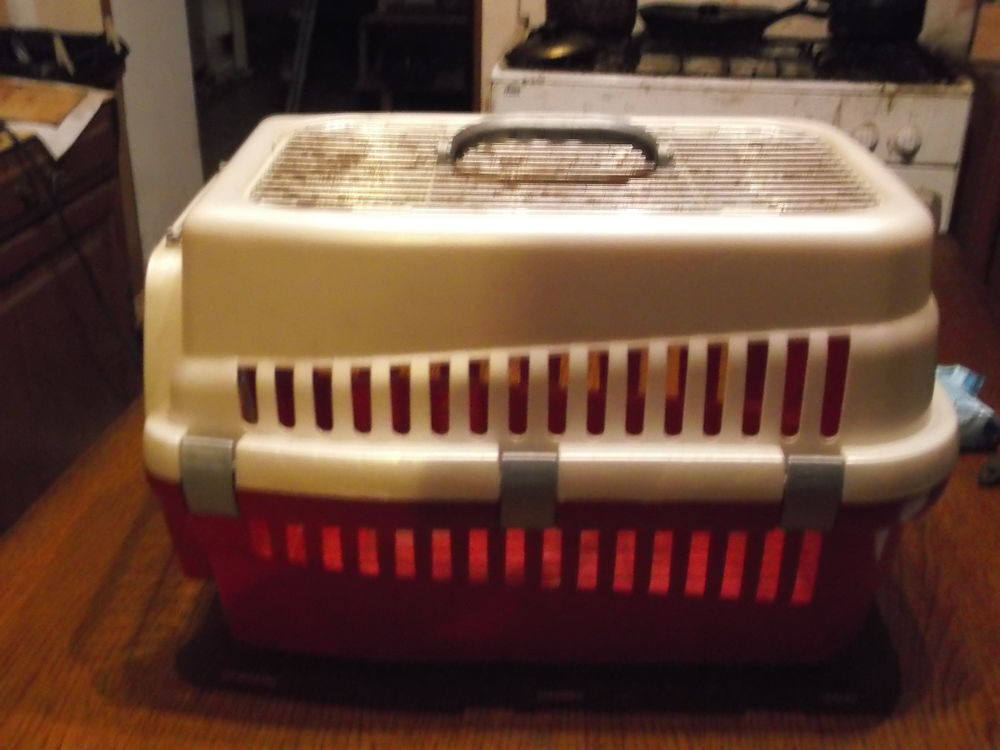 Caisse de Transport Chat Bricolage