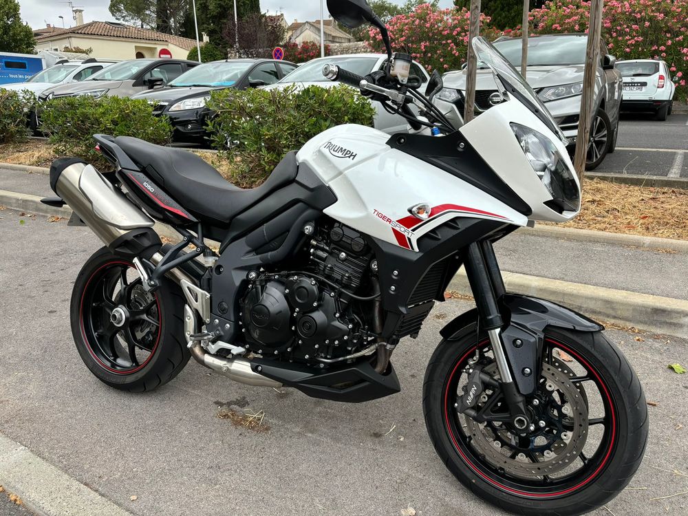 TRIUMPH 2013 occasion 34000 Montpellier