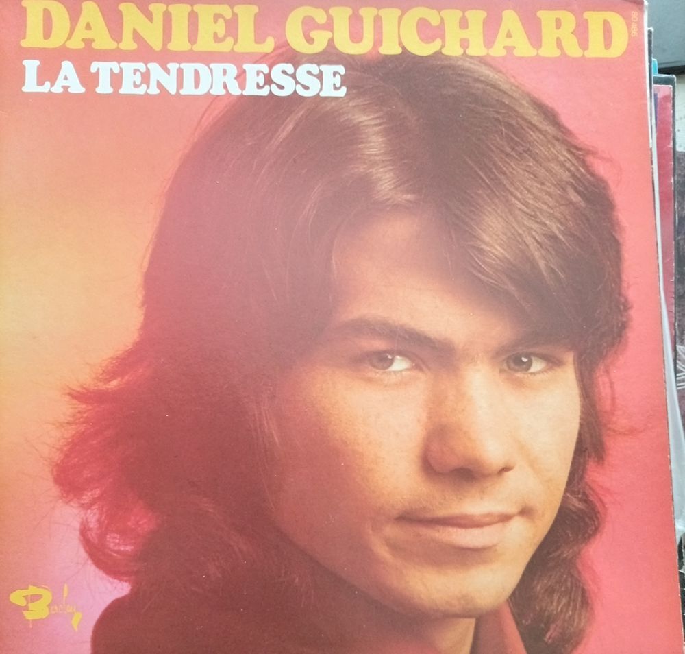 DANIEL GUICHARD / 2 X DISQUES VYNIL 33 TOURS CD et vinyles
