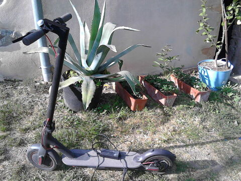Trottinette �lectrique Xiaomi M365 0 Saint-Jean-d'Ardi�res (69)