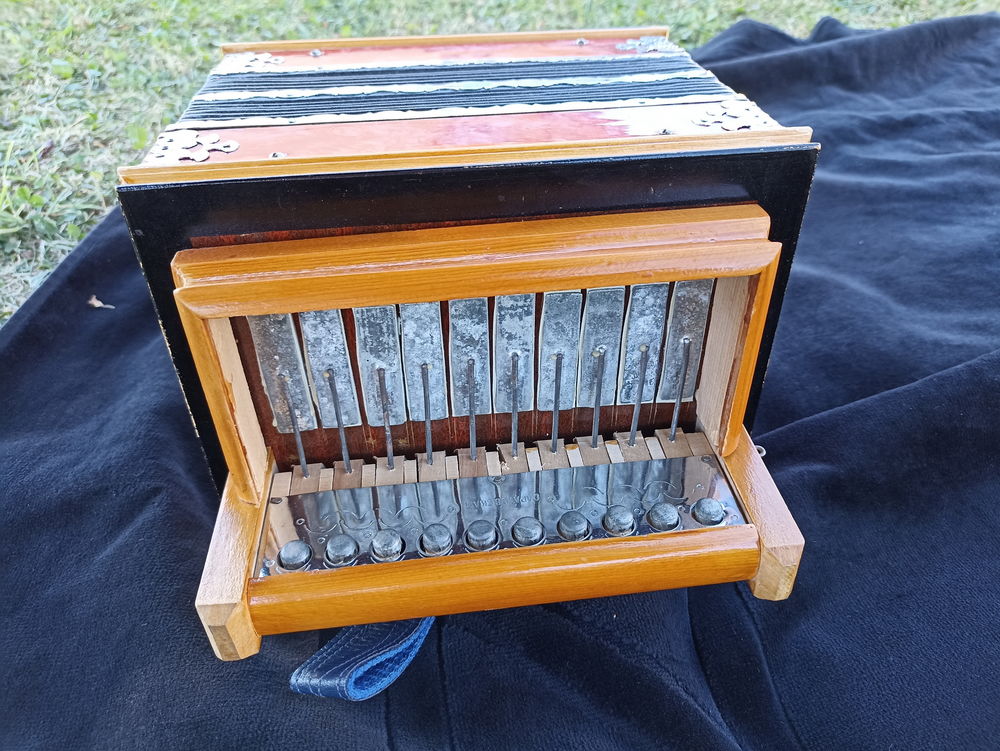 accordeon diatonique &agrave; clochettes de Saratov Instruments de musique
