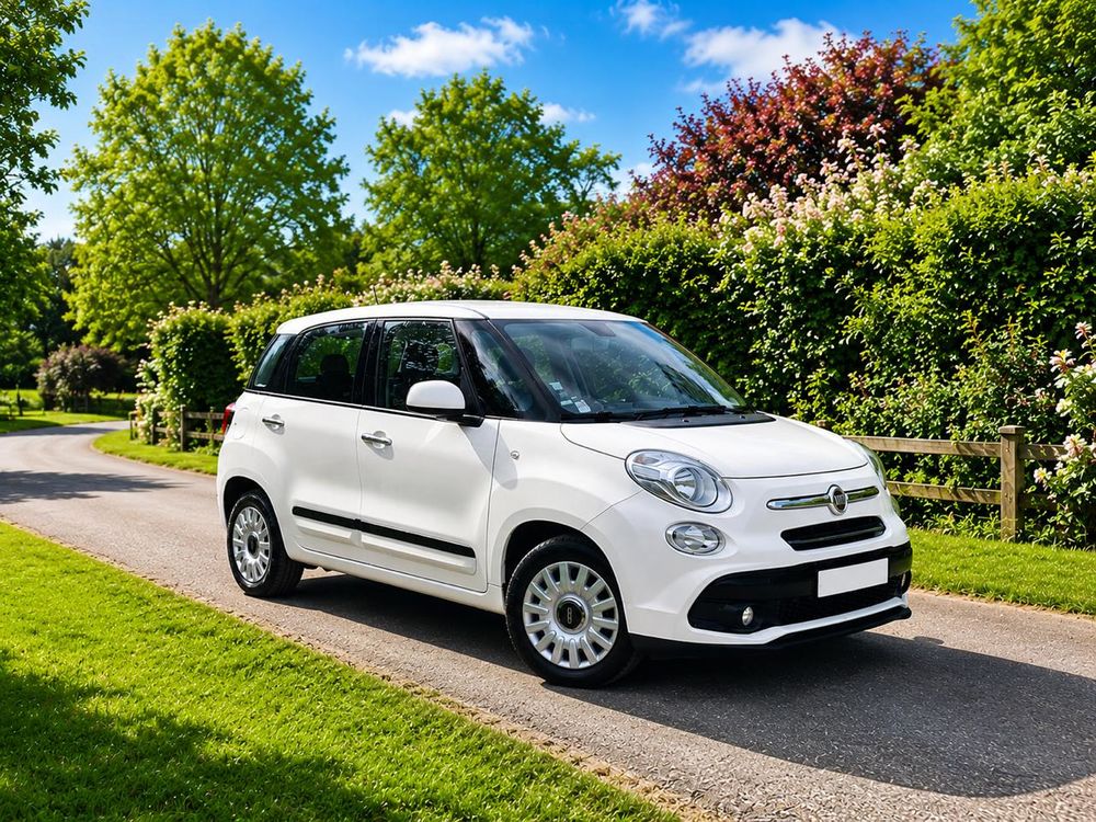 500 L lounge 2017 occasion 85570 Petosse