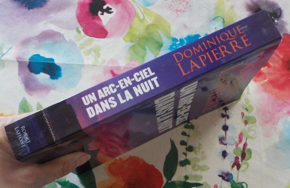 UN ARC-EN-CIEL r&eacute;cit par Dominique LAPIERRE Ed. Laffont Livres et BD