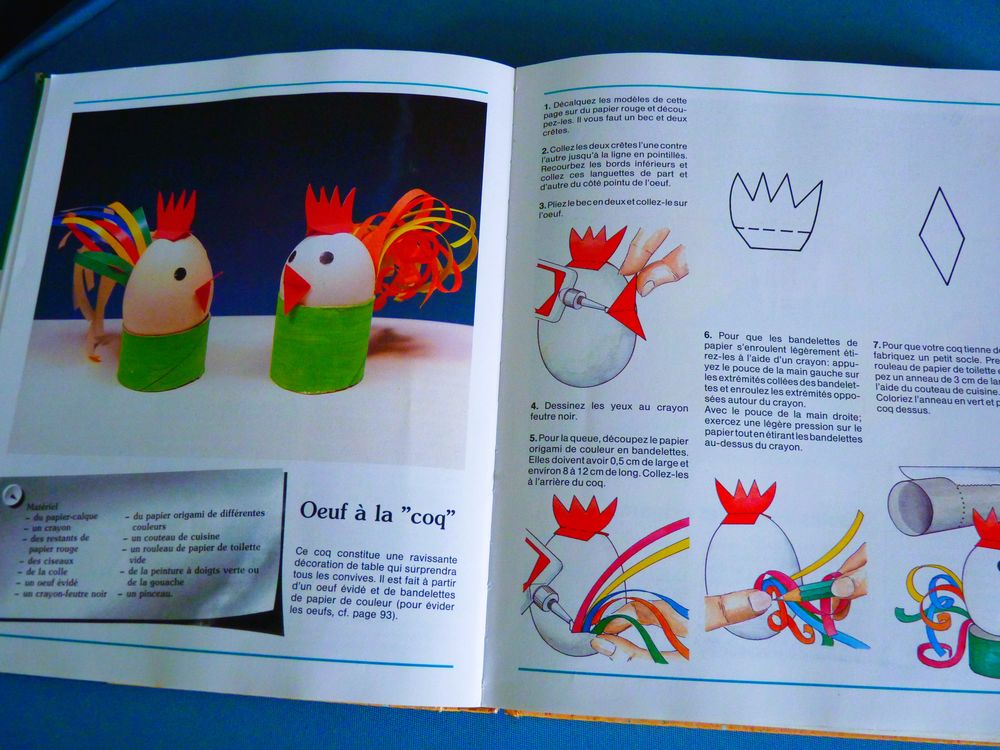 livre le grand livre des activites manuelles enfant loisirs Livres et BD