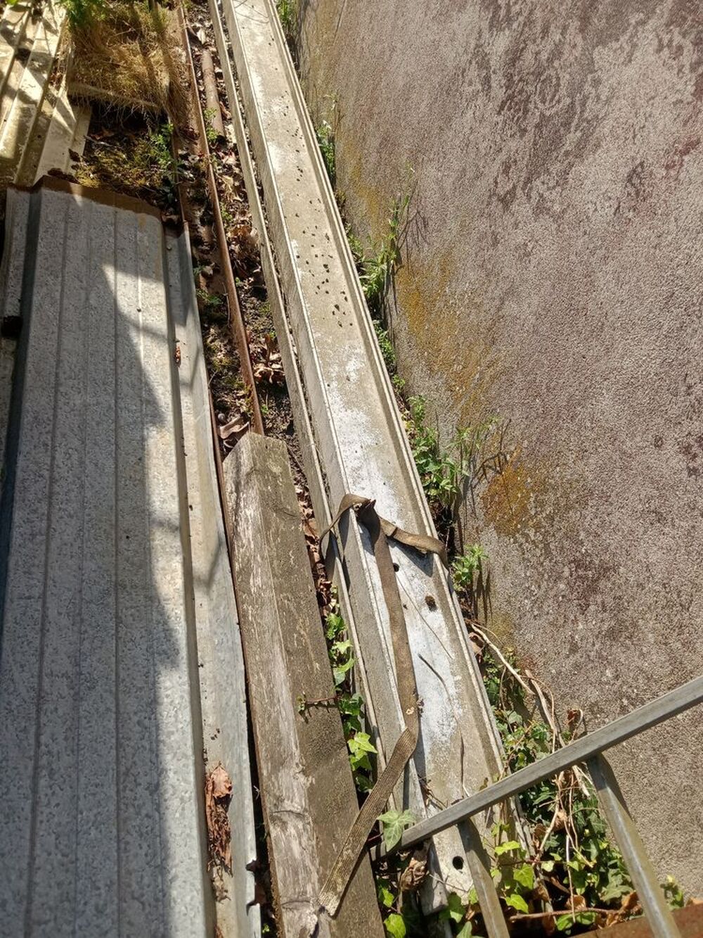 IPN ET H Jardin