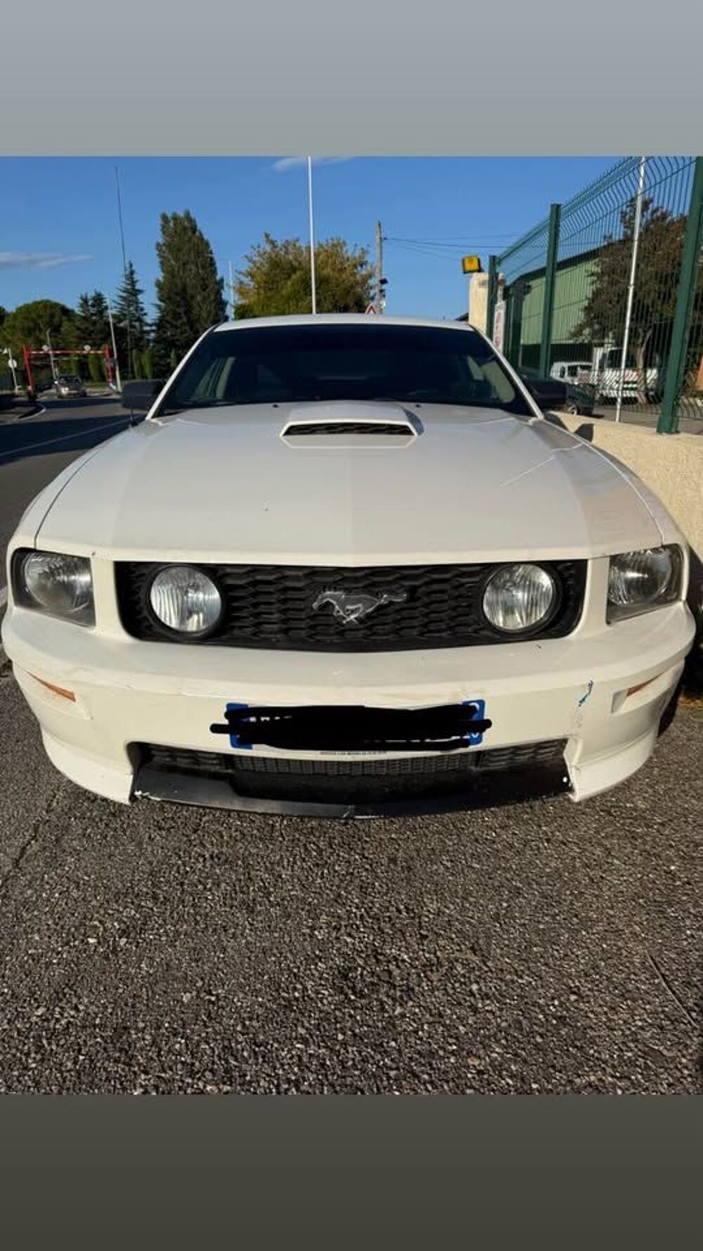 Mustang 319 chevaux 2024 occasion 26700 Pierrelatte
