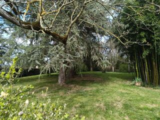  Colocation � louer 5 pi�ces 110 m�