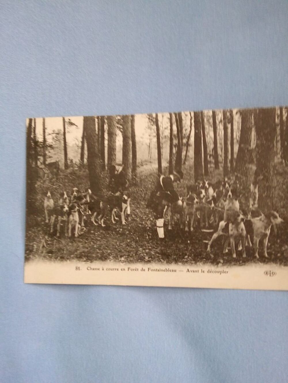 Lot de 3 cartes postales anciennes sur la chasse 