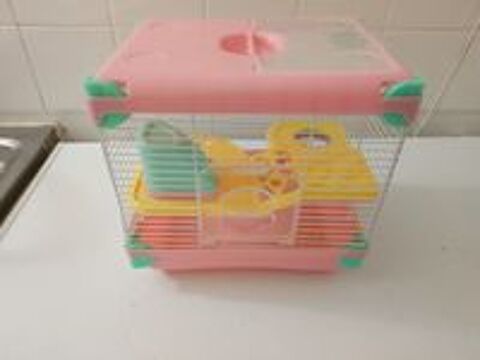   Cage hamster  