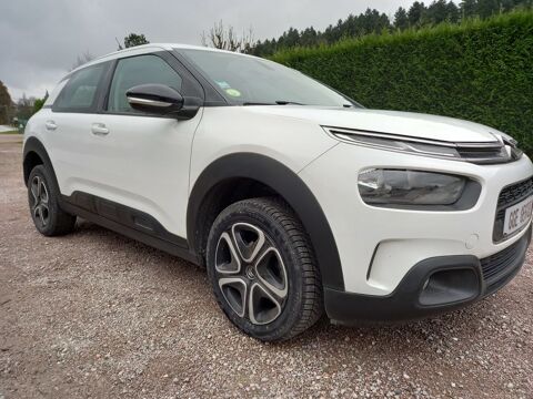 Annonce voiture Citroën C4 cactus 10490 €