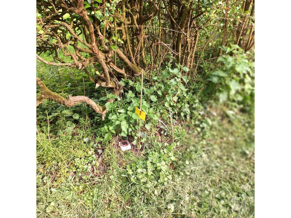 Vente Terrain Terrain Ruisseauville