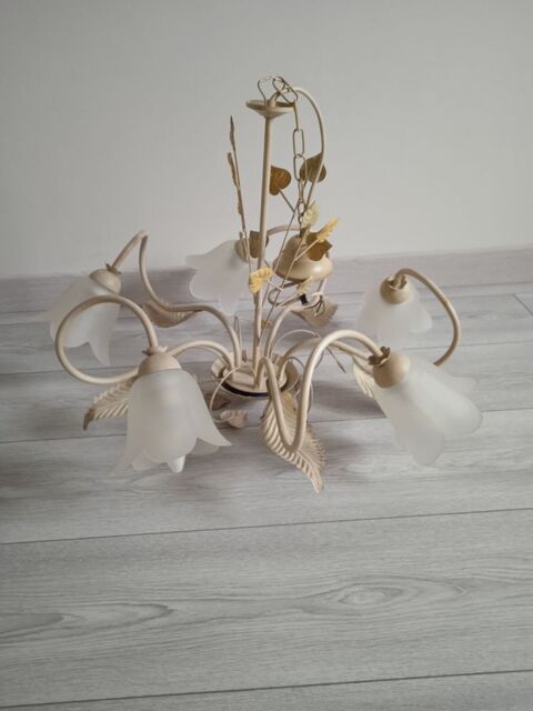 lustre 5 branches vintage 50 Andrzieux-Bouthon (42)