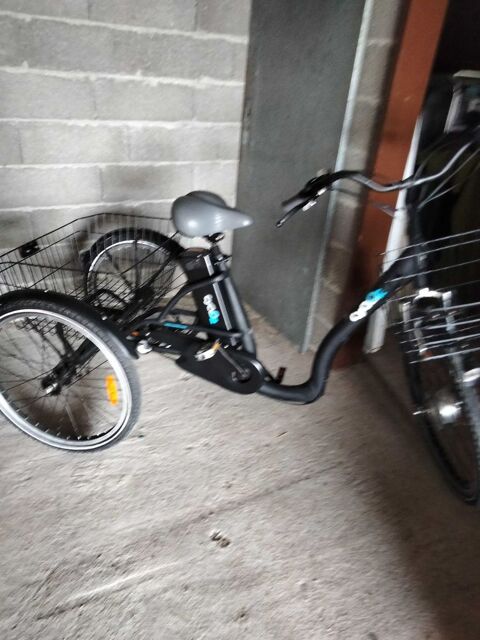 tricycle occasion pour personne grande taille Bouin (85)