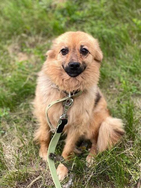 ALICE SE TROUVE DANS UN REFUGE EN UKRAINE 0 75018 Paris