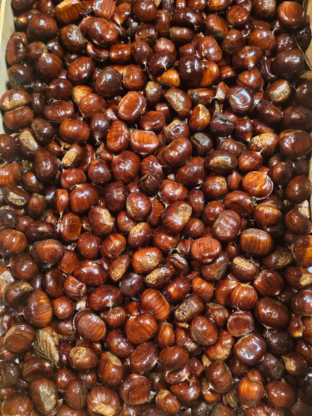 Ch&acirc;taignes bio 2024 Cuisine
