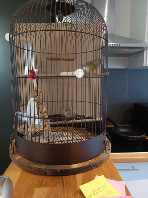 Cage ronde rétro de "Zoolux" 35 35 78930 Goussonville