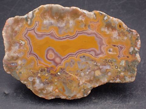 Agate naturelle , R�gion de Knobs , Kentucky , Etats-Unis  35 Bertrichamps (54)
