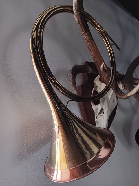 trompe de chasse 700 Cerny (91)