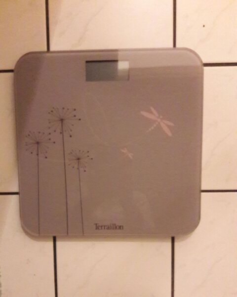 P�se personne �lectronique Terraillon 14 Dijon (21)