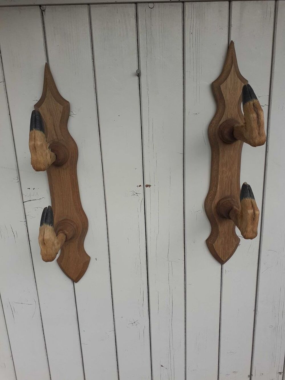 porte fusil p&agrave;&cent;tes de chevreuil Décoration