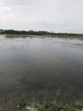  Terrain  vendre 17200 m