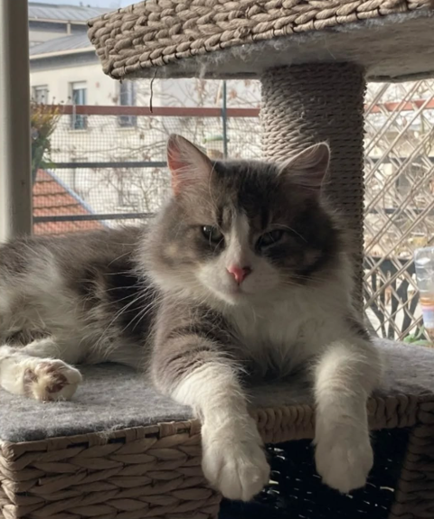 PEPPER est Réservé 210 92400 Courbevoie