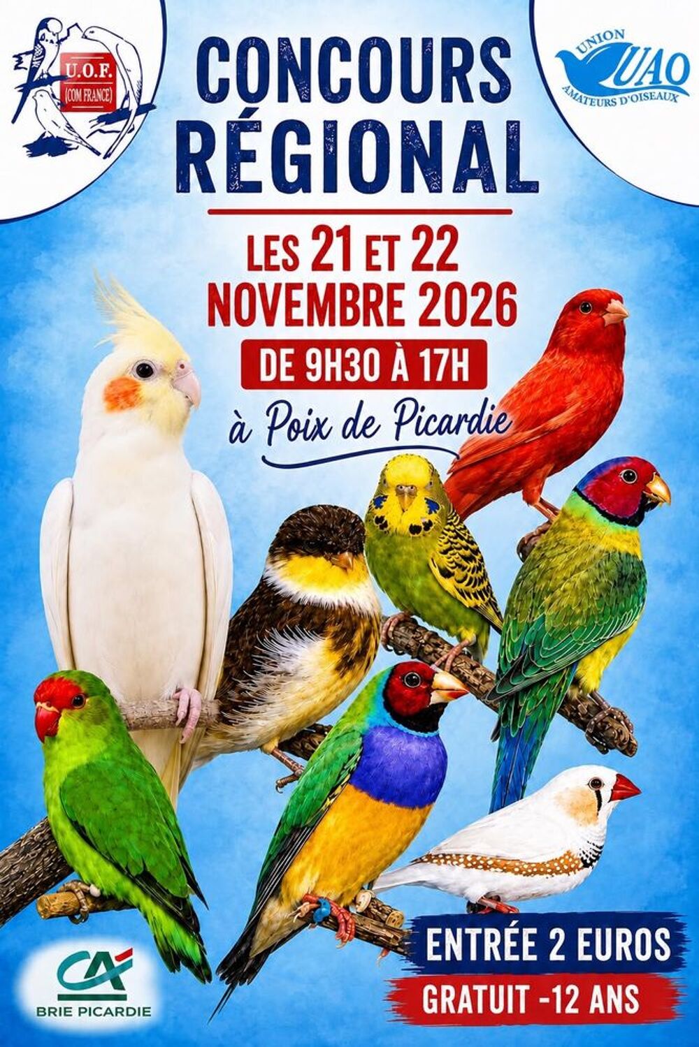 BOURSE ET EXPOSITION D'OISEAUX Vide grenier, marché aux puces, braderie