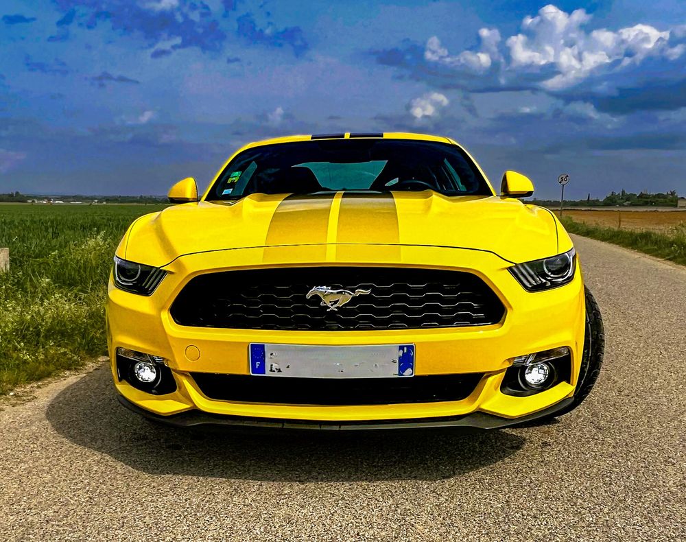 Mustang Fastback 2.3 EcoBoost 317 2016 occasion 26800 Portes-l&egrave;s-Valence