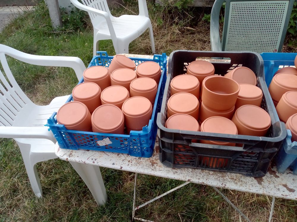 Pot en terre cuite le lot Jardin