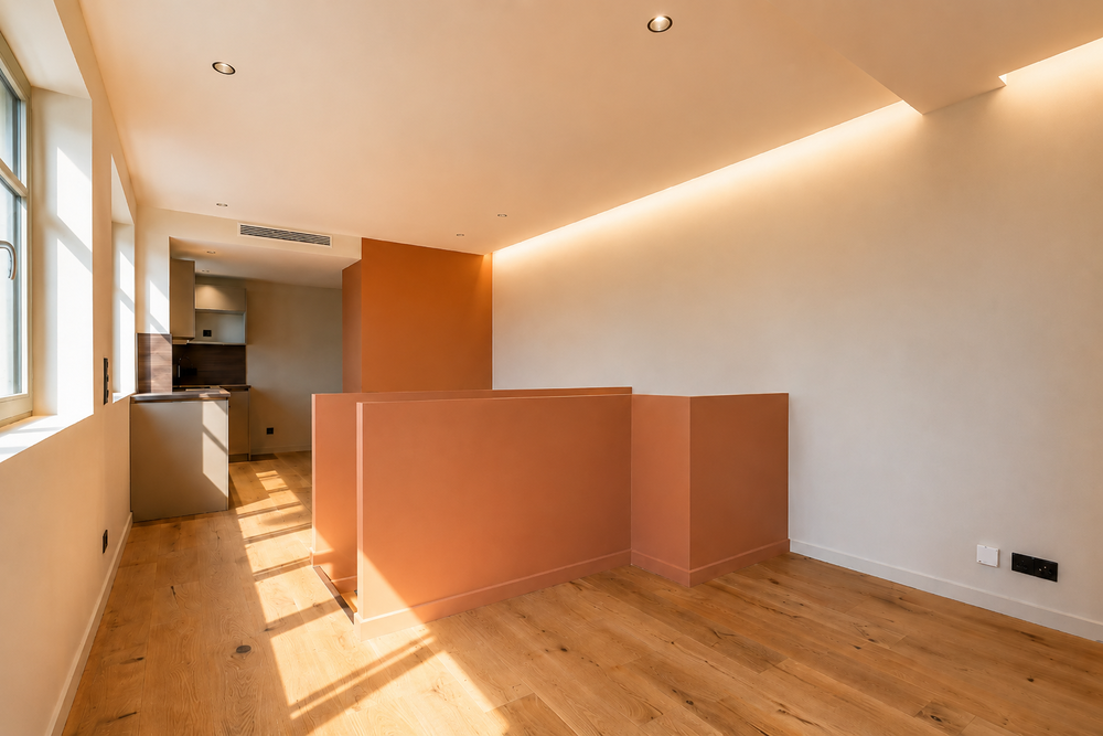 Vente Appartement T3 duplex atypique rénové - Vue Saône - Climatisation Lyon 1