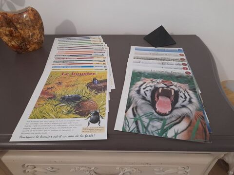 lot de fiches d'animaux, de sciences et vie de la terre 2 Reims (51)