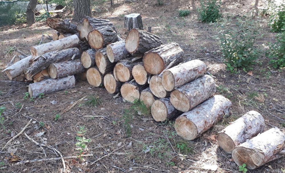 bois de chauffage Jardin