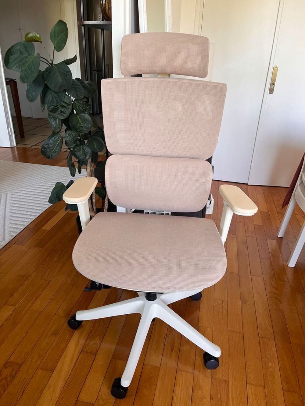 Chaise de bureau ergonomique Flexispot Meubles