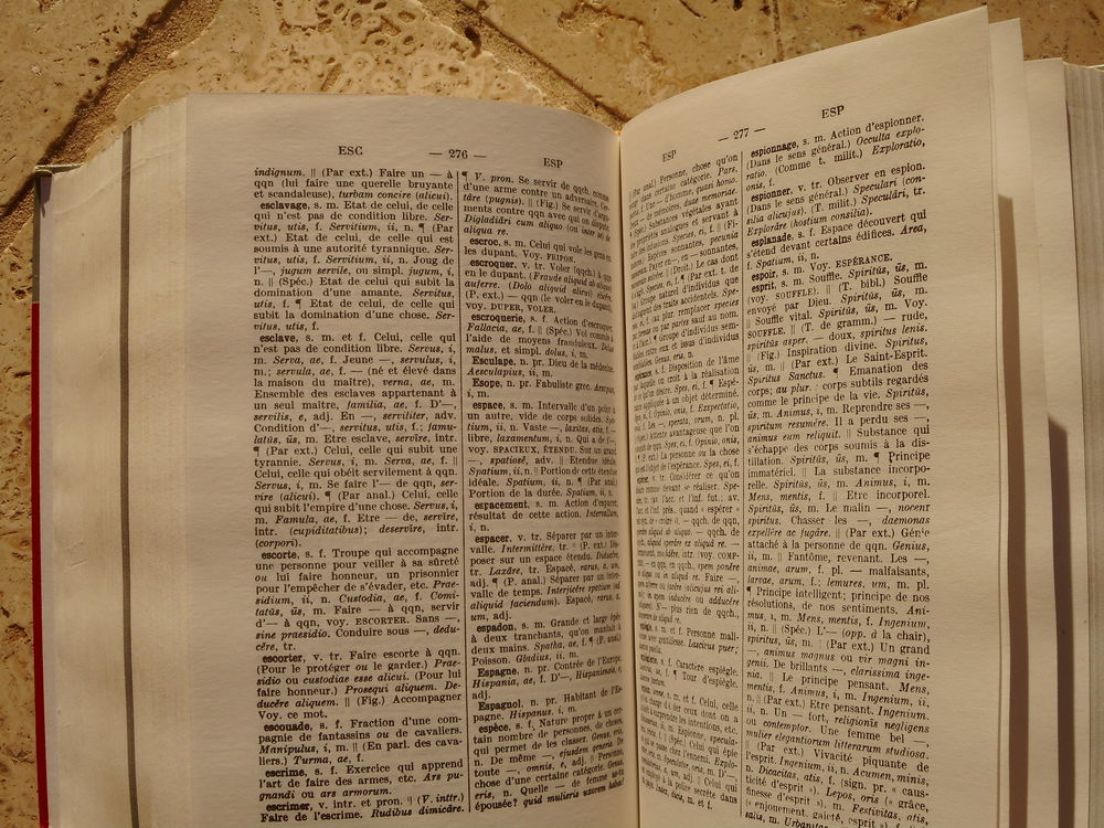 DICTIONNAIRE DE LATIN Pu�riculture