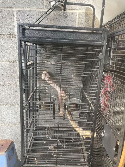 cage pour oiseaux 50540 Isigny-le-buat
