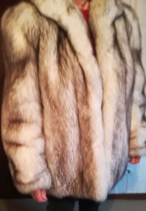 Veste 3/4 fourrure renard argent 300 Sivry-Courtry (77)