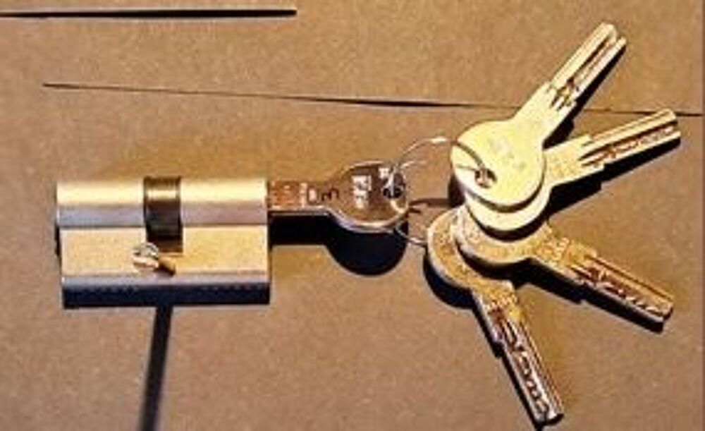 Cylindres &agrave; cl&eacute;s de S&eacute;curit&eacute; Bricolage